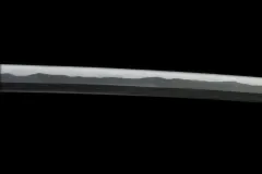 DSC06685d