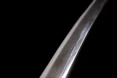 DSC06761