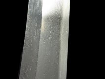 PXL_20250203_160923777.PORTRAIT