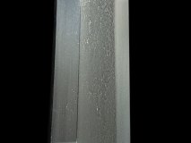 PXL_20250203_161112372.PORTRAIT