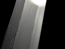 PXL_20250203_161136504.PORTRAIT