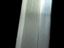 PXL_20250203_161219964.PORTRAIT