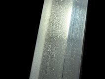 PXL_20250203_161222093.PORTRAIT