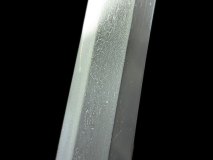 PXL_20250203_161321864.PORTRAIT