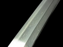 PXL_20250203_161357646.PORTRAIT