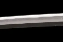 DSC06561d