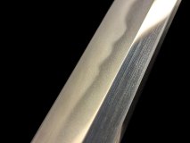 IMG_20250127_141518b