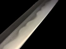 IMG_20250127_141518e