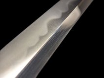 IMG_20250127_141518f