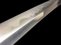 IMG_20250127_141518i