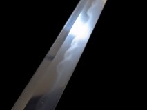 IMG_20250127_141518ib