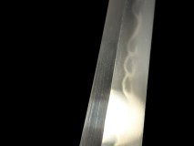 IMG_20250127_141518icc