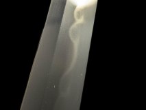 IMG_20250127_141518icd