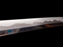 IMG_20250129_113038
