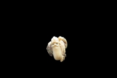 netsuke-3-6