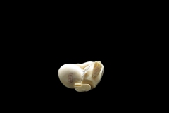 netsuke-31-5