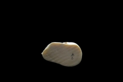 netsuke-34-5
