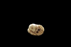 netsuke-23-5