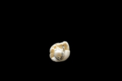 netsuke-22-6