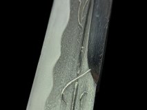 PXL_20250129_111331631.PORTRAIT