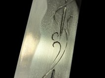 PXL_20250129_111338283.PORTRAIT