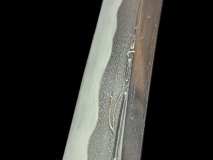 PXL_20250129_111352880.PORTRAIT