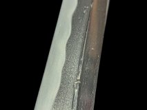 PXL_20250129_111356048.PORTRAIT