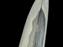 PXL_20250129_111409496.PORTRAIT