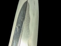 PXL_20250129_111505488.PORTRAIT