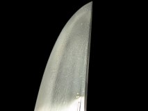 PXL_20250128_131525022