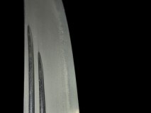 PXL_20250128_131556674.PORTRAIT