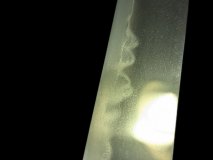 PXL_20250128_133122256.PORTRAIT