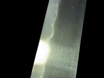 PXL_20250128_133142528.PORTRAIT