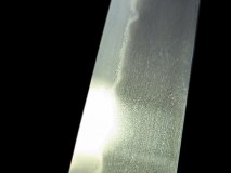 PXL_20250128_133145738.PORTRAIT