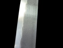 PXL_20250128_133155850.PORTRAIT