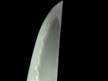 PXL_20250128_133204070.PORTRAIT