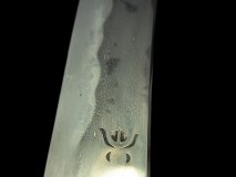 PXL_20250128_104453514.PORTRAIT