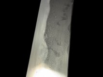 PXL_20250128_104510348.PORTRAIT