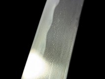 PXL_20250128_104533194.PORTRAIT