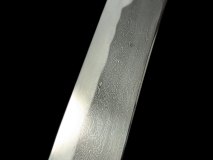 PXL_20250128_104549310.PORTRAIT