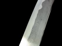 PXL_20250128_104611830.PORTRAIT