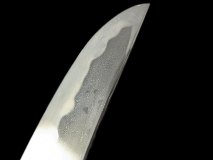 PXL_20250128_104616938.PORTRAIT