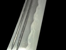 PXL_20250128_104647023.PORTRAIT