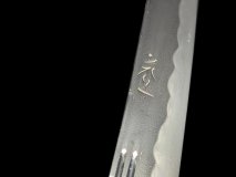 PXL_20250128_104705097