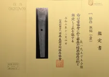 PXL_20250605_101134058